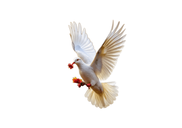 3D Rendering PNG: Transparent Designs for Creative Projects
