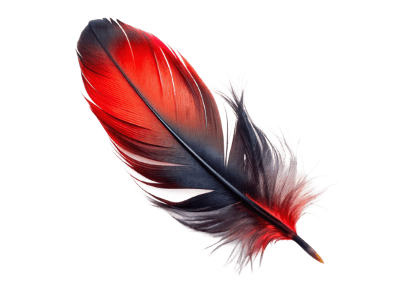 Beautiful Feather 3D Rendering PNG: A Versatile Design Asset for Creative Projects